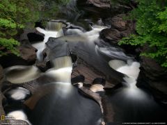 Tapeta National Geographic 579.jpg